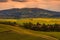 Tuscany, panorama of the city of Volterra with hills, vineyards and dirt road in the foreground