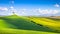 Tuscany panorama, rolling hills, fields, meadow and lonely tree.