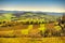 Tuscany panorama, rolling hills, trees and green fields. Italy