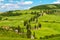 Tuscany road with cypress trees, Val d\'Orcia, Italy