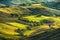 Tuscany, rolling hills on sunset. Rural landscape. Green f