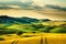 Tuscany spring, rolling hills on sunset. Volterra rural landscape. Green fields and trees Italy