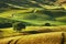 Tuscany spring, rolling hills on sunset. Volterra rural landscape. Green fields and trees Italy