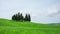 Tuscany, summer landscape with cypress