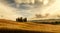 Tuscany sunset Landscape panorama. Hills, cypress and meadow