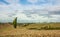 Tuscany Typical  Farmland and Countryhouses Landscape