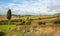 Tuscany Typical  Farmland and Countryhouses Landscape