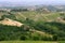 Tuscany vines fileds landscape