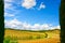 Tuscany, vineyard, cypress trees and road, rural landscape, Ital