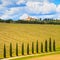 Tuscany, vineyard, cypress trees and road, rural landscape, Ital