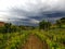 Tuscany vineyard before rain