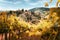 Tuscany, vineyards in autumn. Italy