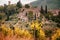 Tuscany, vineyards in autumn. Italy