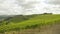 Tuscany vineyards timelapse