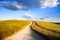 Tuscany, white road on rolling hill, rural landscape, Italy, Eur