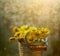 Tussilago bouquet in decorative bucket in water drops and sunshine