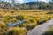 Tussock grassland and eucalyptus forest with sign to hiking path