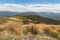 Tussock growing on hills in Nelson Lakes National Park