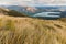 Tussock growing on slopes above lake Rotoiti