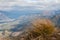 Tussock in wind in Southern Alps