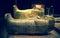 Tutankhamun\'s sarcophagus
