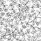 Tutsan seamless pattern