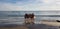 Tutus on the beach