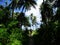 Tuvalu, Funafuti Atoll, the street scene