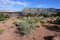 Tuweep Campground in the Grand Canyon.