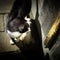 Tuxedo barn cat meditating on her usual scratching the old wooden barn door