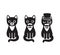 Tuxedo cats set