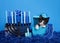 Tuxedo kitten peaking out of a blue present box next to menorah with dreidel for Hanukkah