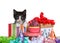 Tuxedo kitten peaking out of a colorful striped birthday present next to a tiny pedestal table with cup cake.