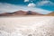 Tuyajto lagoon and salt lake in the Altiplano of Chile