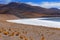 Tuyajto Salt Flats and Lagoon in the Atacama Desert - Chile