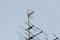Tv antenna above roof at home , receiver communication data with blue sky