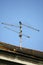 TV antenna aerial