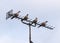 TV antenna or aerial with four doves