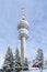 TV tower Snezhanka in Bulgarian mountain ski resort Pamporovo. Winter landscape Snejanka Tower and snow covered fir tree