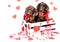 Tvo puppies in Valentine`s Day