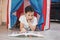 Tween thinking boy with curly hair in toy tent house lying and reading book at home