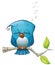 Tweeter Blue Bird Sleeping