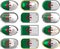 Twelve buttons of the Flag of algeria