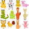 Twelve Chinese Zodiac animals