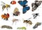 Twelve color insects collection