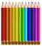 Twelve color pencils on white background