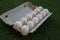 Twelve eggs in a cardboard box on a piece of synthetic grass