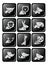 Twelve icon wildlife in dimension glossy button design