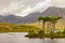 Twelve Pines at Derryclare Lough