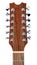 Twelve String Acoustic Guitar Head